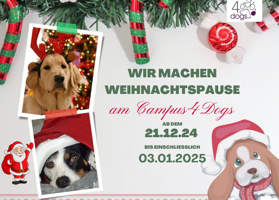 Winterpause Hundeschule geschlossen