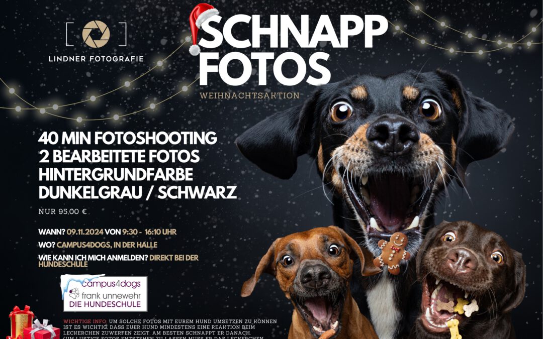 SCHNAPPFOTOS – Tobias Lindner