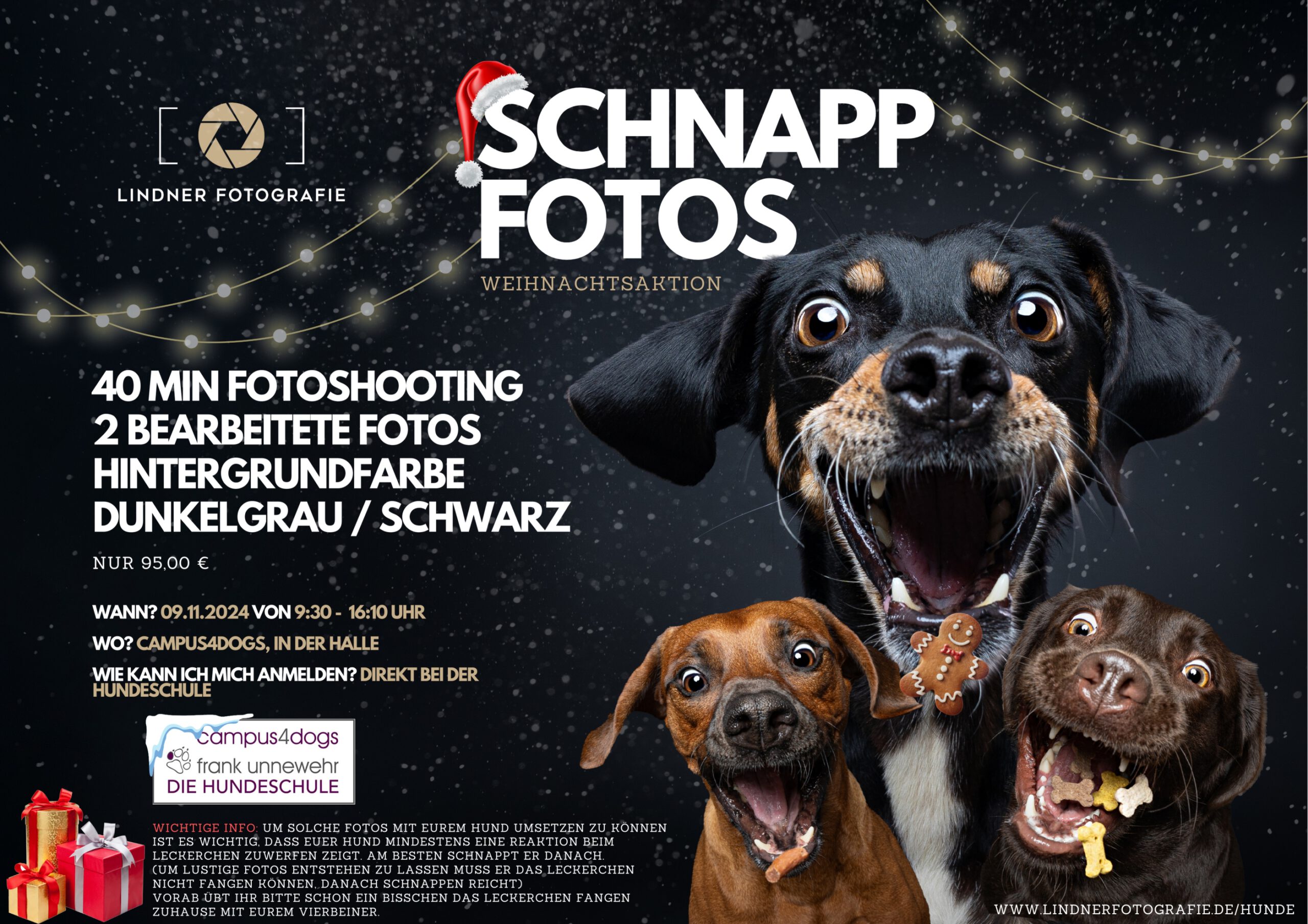 Schnappfoto Tobias Lindner 2024