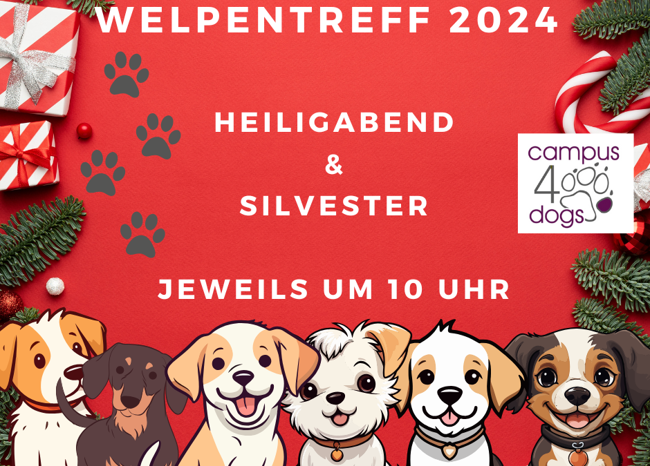 Welpentreff an den Feiertagen 2024